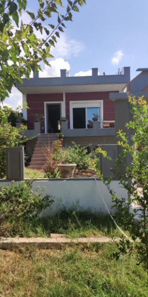 Boutique Villa Harris
